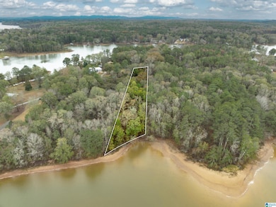 0 Annesley Dr unit 21438186, Pell City, AL 35128 - photo 5