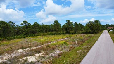 6009 Ruth Ave N, Lehigh Acres, FL 33971 - photo 3