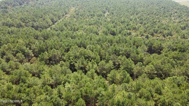 Photo_6554219_DJI_619_jpg_4103022_0_2021