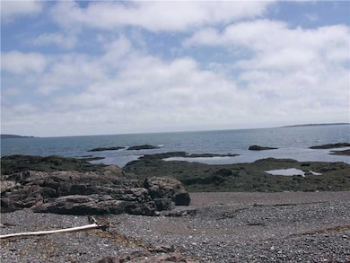 Great Beachcombing