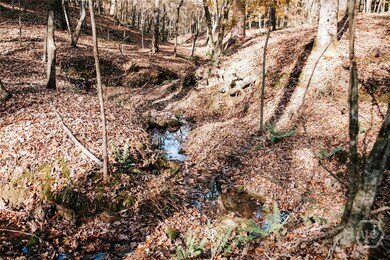 0 Greensboro Rd unit CL343963, Crawfordville, GA 30631 - photo 3