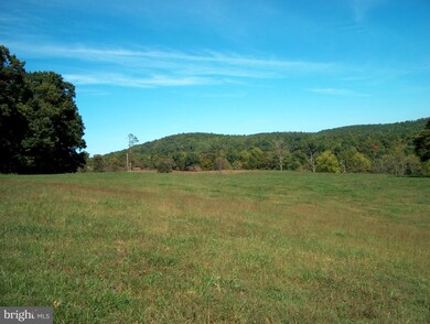 6217 Wilson Rd, Marshall, VA 20115 - photo 4