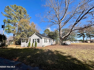 202 Lewis St, Bladenboro, NC 28320 - photo 3