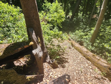 0 Lost Valley Rd unit ML82027788, Los Gatos, CA 95033 - photo 7