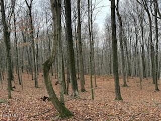 341 Duvall Cemetery Rd, Broad Top Township, PA 16679 - photo 3