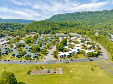 900-Mountain-Creek-Rd-High-Res-Photos-21
