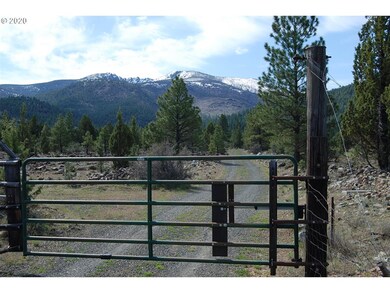 61296 Marysville Ln, Canyon City, OR 97820 - photo 3