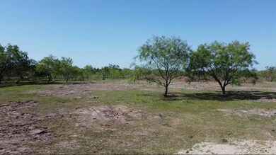 Lot 5 Gin Rd, Ennis, TX 75119 - photo 5