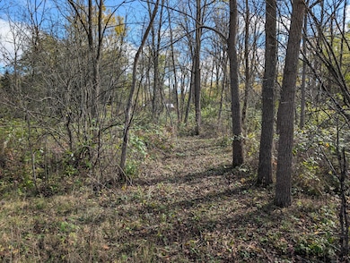 PXL_20251023_171203593