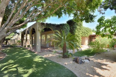 Property Backyard