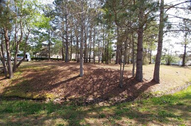 1032 Palm Ct SW, Calabash, NC 28467 - photo 2