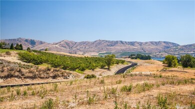 0 the Reserve unit Lot M 1003083, Manson, WA 98831 - photo 5