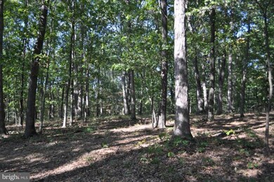 0 Highland Ridge Rd unit 1000167645, Berkeley Springs, WV 25411 - photo 6