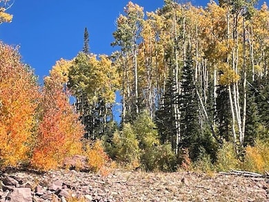 1015 Autumn Dr, Brian Head, UT 84719 - photo 6