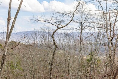0 Lee Station Mountain Rd, Pikeville, TN 37367 - photo 7