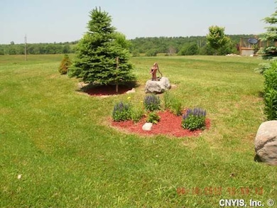 Yard/Garden