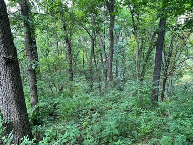 15 550n Ave, Timewell, IL 62375 - photo 6