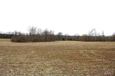 875 W Monroe St, Paris, MO 65275 - photo 5