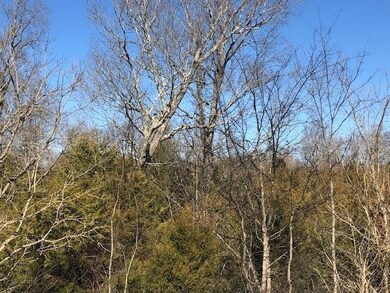 0 Highway 64 E unit RTC2352975, Shelbyville, TN 37160 - photo 5