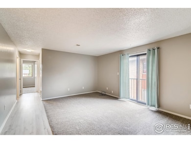 705 26th Ave, Greeley, CO 80634 - photo 4