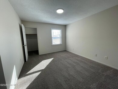 219 Appaloosa Dr, Jacksonville, NC 28540 - photo 4