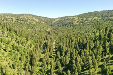 6 Tract Garnet Range, Clinton, MT 59825 - photo 4