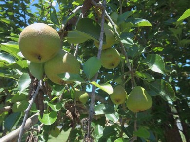 103 Seamoor Dr unit 88, Fredericksburg, TX 78624 - photo 6