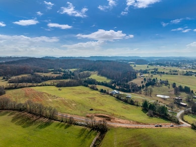 Tbd Horseshoe Bend Rd, Jonesborough, TN 37659 - photo 5