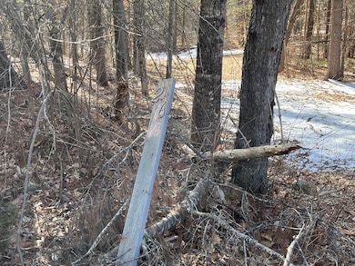 26 Eastman Hill Rd (3)