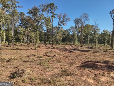 283 Lower Simmons Rd, Macon, GA 31220 - photo 7