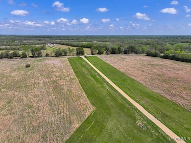 1 Mathews Rd, Mathews, AL 36013 - photo 5