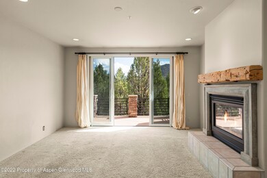 306 Wild Spring Ln unit 10, Basalt, CO 81621 - photo 4