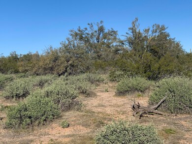 1.9 Plus Acre Lot