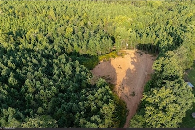 00 Caudle Rd, Pinnacle, NC 27043 - photo 4