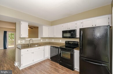 1446 Stoney Point Way, Stoney Beach, MD 21226 - photo 6