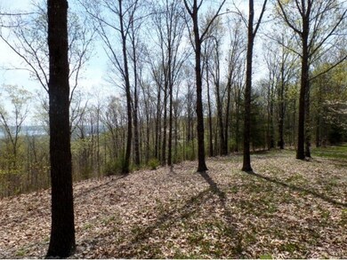 Lot 10 Plateau, Kimberling City, MO 65686 - photo 5
