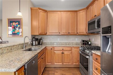 Bosch Gas cooktop and oversize sink