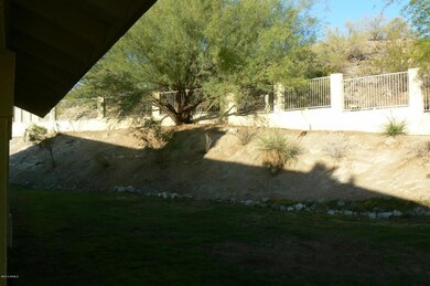 back yard