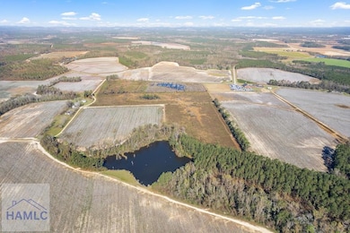 Lot 4 Camp Ground Rd, Claxton, GA 30417 - photo 2