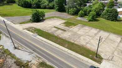 dji_fly_20250501_103928_0139_17461139388