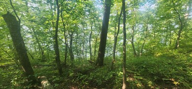 TBD Catherine Ln, White Earth Township, MN 56589 - photo 7