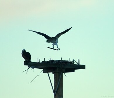 2327 W Bridge Ave, Spokane, WA 99201 - photo 7