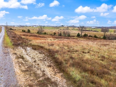 133 Tulip Poplar - Lot 5 Ln, Flemingsburg, KY 41041 - photo 6