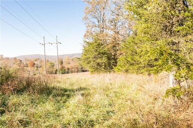 0 Nogales Rd unit 1031757, Elkins, AR 72727 - photo 6