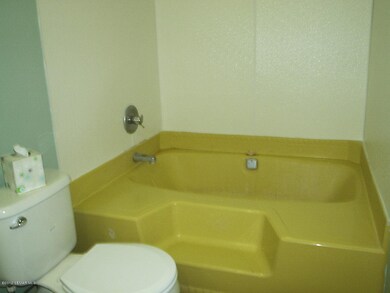 226  E Maple St Dexter MN step in tub