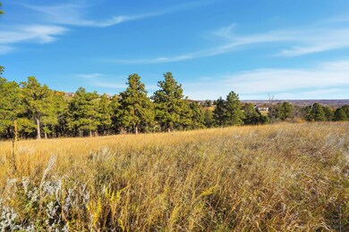 Lot17C W Minnesota St, Rapid City, SD 57701 - photo 4