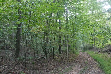 TBD Bryson Cove Rd, Abingdon, VA 24210 - photo 6