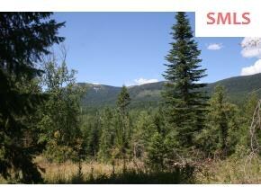 Lot 3 Larsen Ranch Ln, Sandpoint, ID 83864 - photo 2