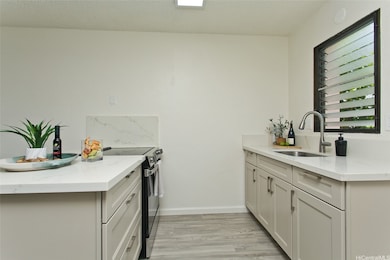 New kitchen cabinets, countertop, sink and fixture
