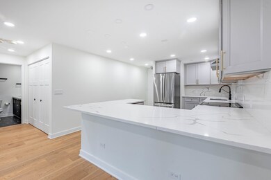 405 N Wabash Ave unit 207, Chicago, IL 60611 - photo 5